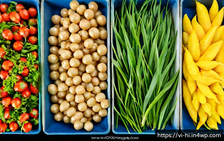 Tối ưu phòng ngủ để giảm căng thẳng: nên ưu tiên ánh sáng, tiếng ồn hay nệm? 4 수면 환경과 스트레스 감소의 관계 관련 이미지 2